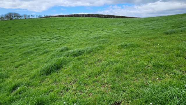 369 Tarata Road Inglewood_4