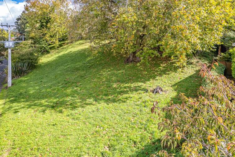 Lot 1 Hillside Terrace St Johns Hill_6