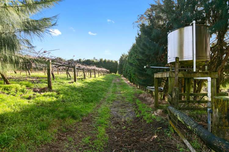 156a Lockington Road Aongatete_20