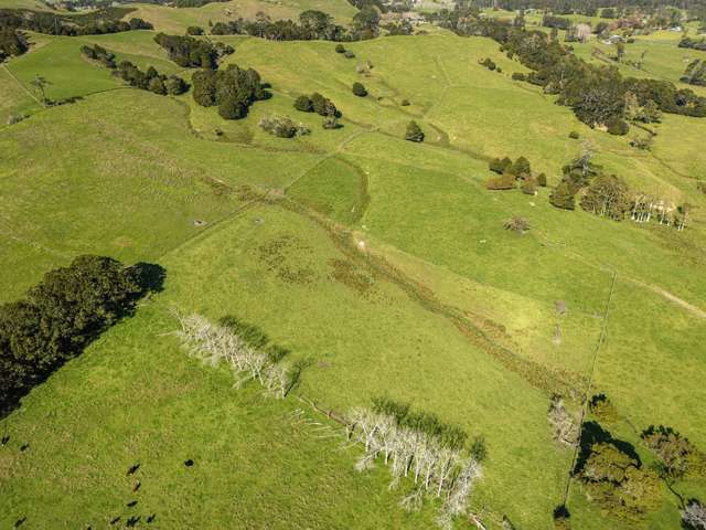 174 Stoney Creek Road Kaukapakapa_2