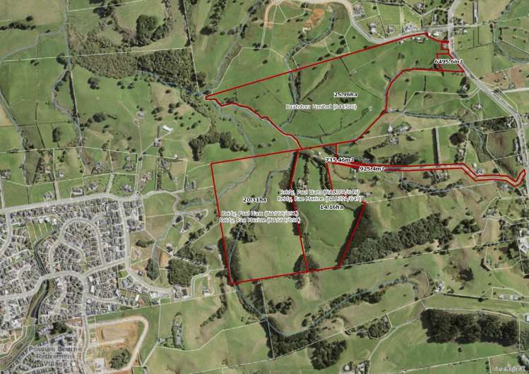 Runciman Road Pukekohe East_14