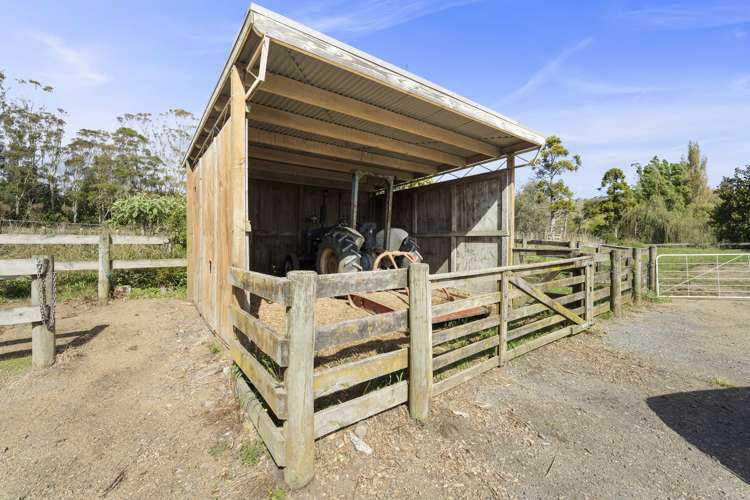 114 Ness Valley Road Ness Valley_26