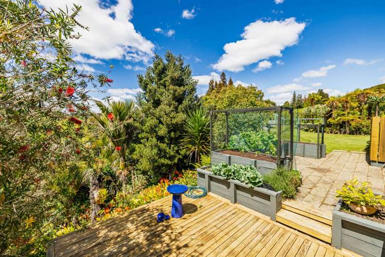 43z Blue Gum Lane Kerikeri_22