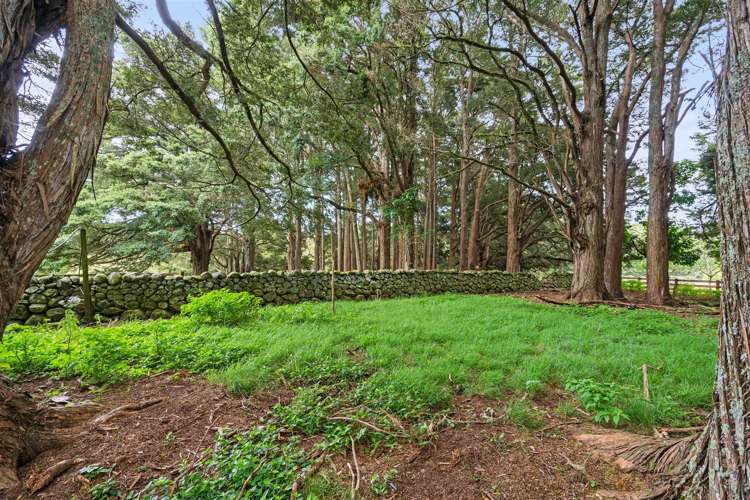 120 Springs Road Poroti_33