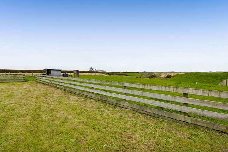 253 Mawhitiwhiti Road Normanby_8