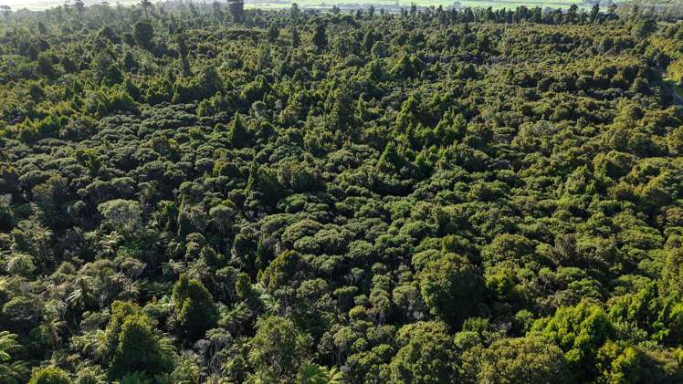 Lot 1 South Terrace Road Karamea_21