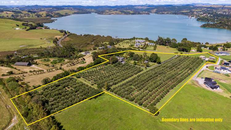 478 Hihi Road Mangonui_31