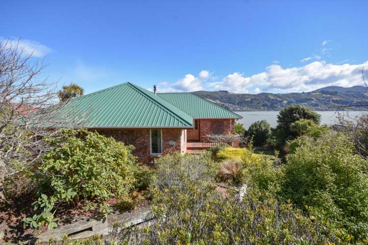 22 Bayne Terrace Macandrew Bay_24