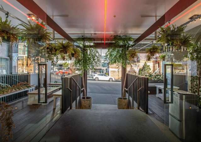 5 Rose Road Grey Lynn_2