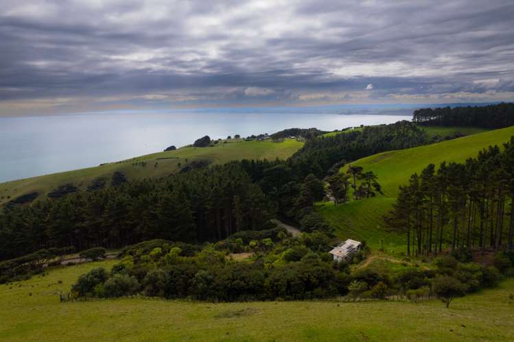 Whaanga Road Raglan_6