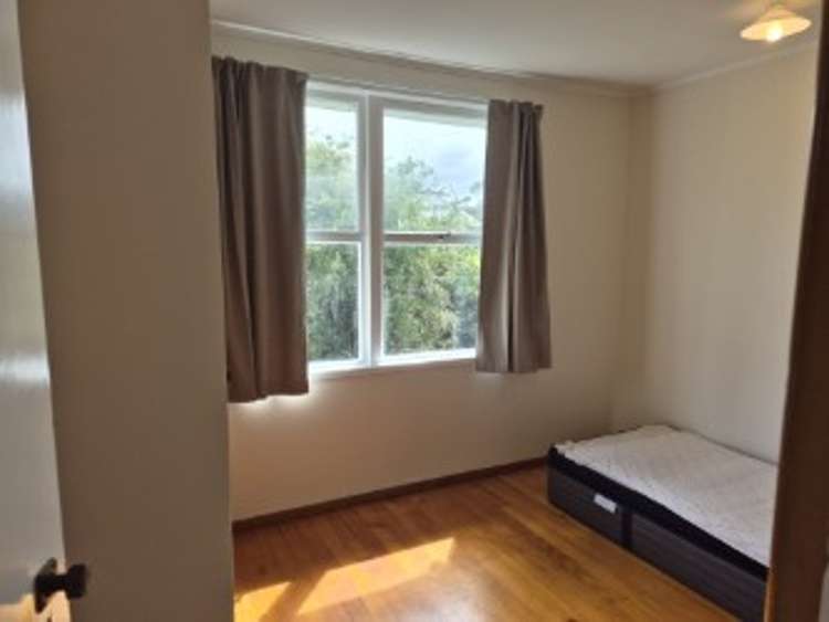 Address withheld Kawakawa_7