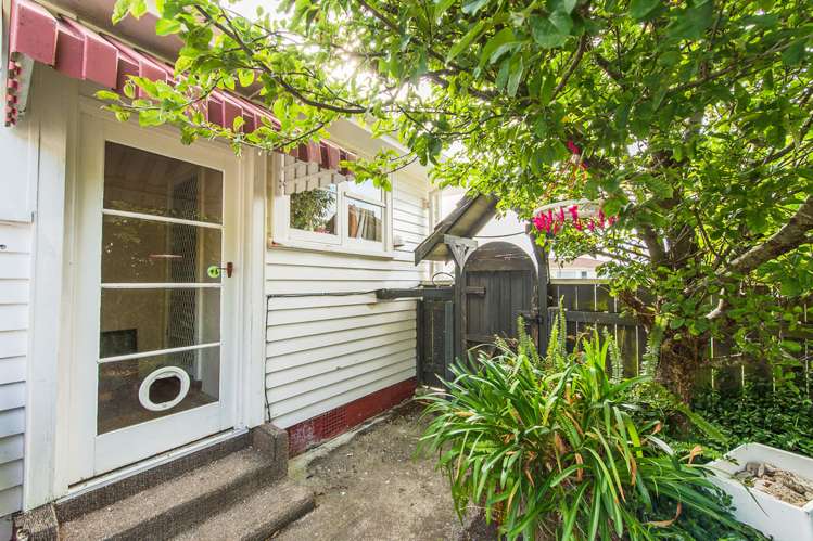 22 Burns Street Tawhero_13