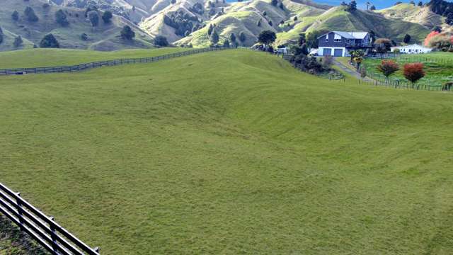 80 Mania Road Taumarunui_3