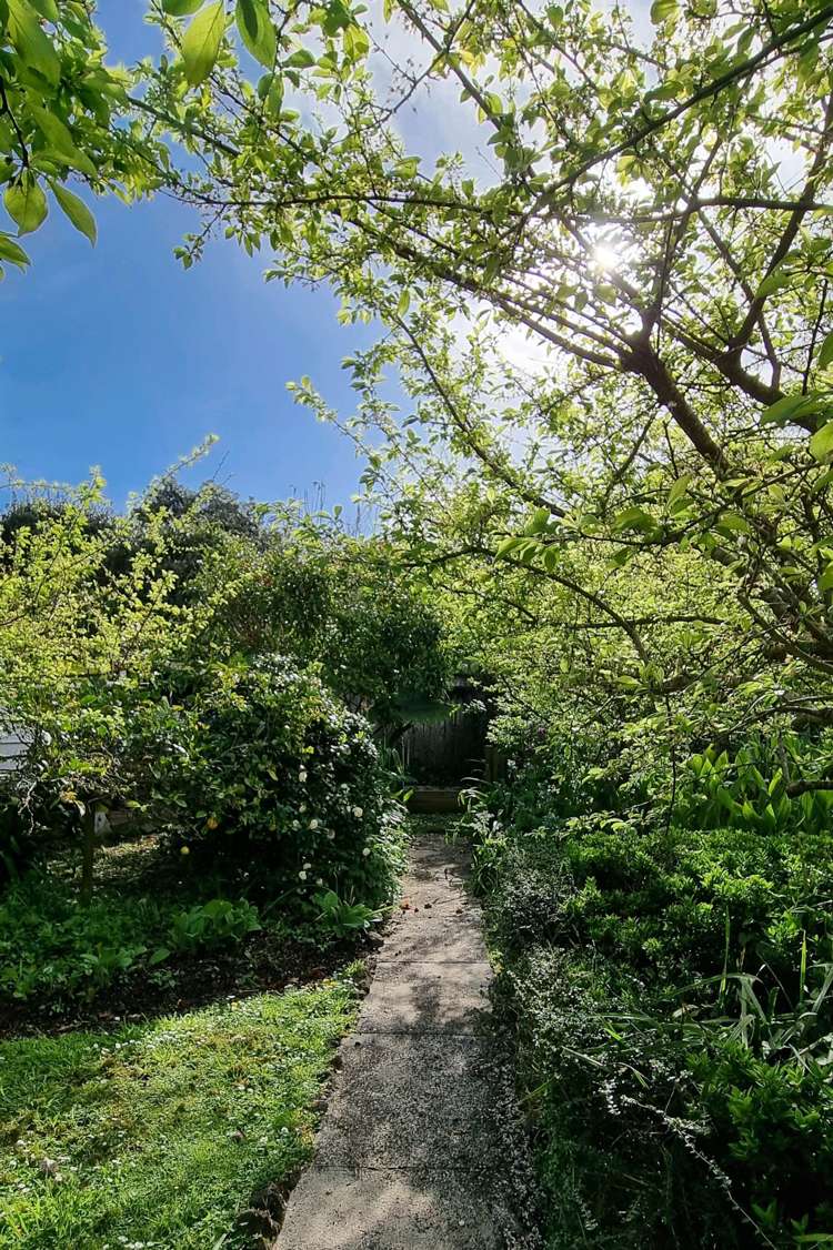 21 Vauxhall Road Devonport_34