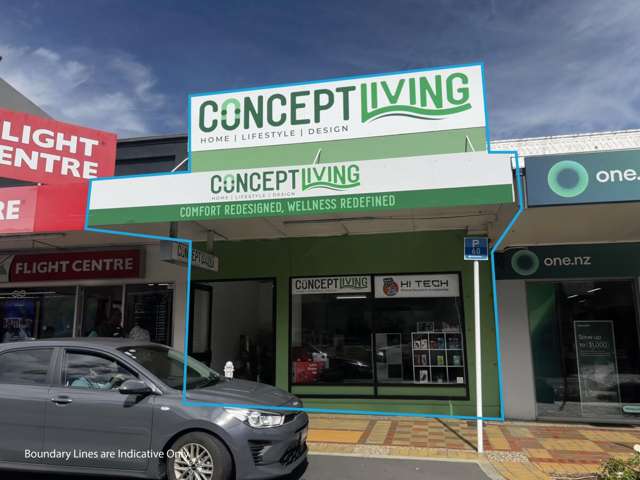 105 King Street Pukekohe_1