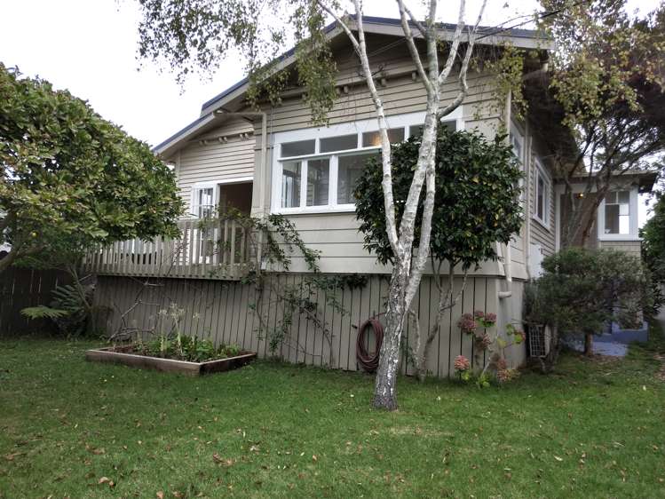 55 Willerton Avenue New Lynn_0