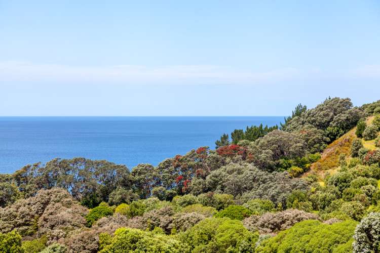 443 Onemana Drive Onemana_16