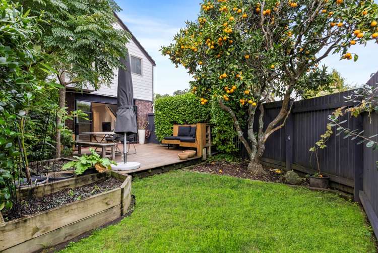 4/55 Gardner Avenue New Lynn_12