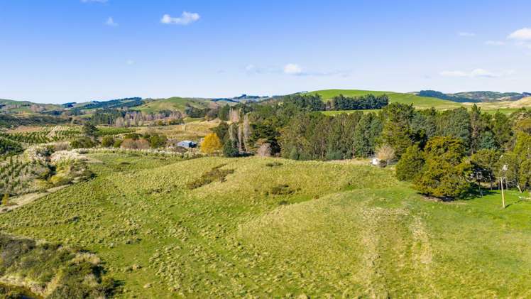 254 Wilder Road Porangahau_22