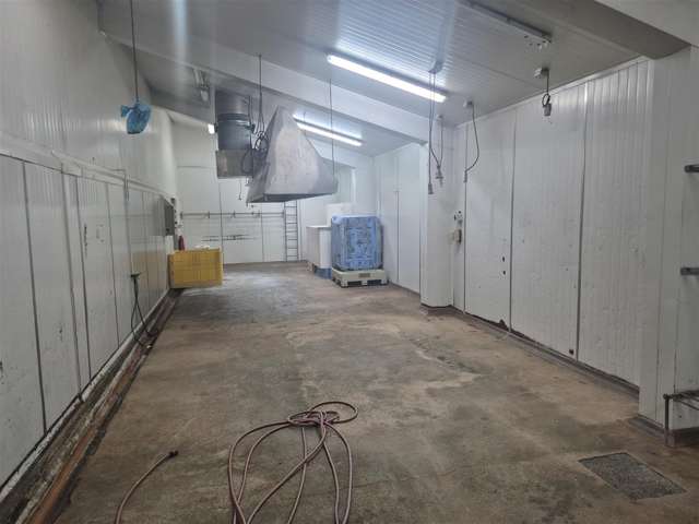 119 Wordsworth Street Sydenham_1