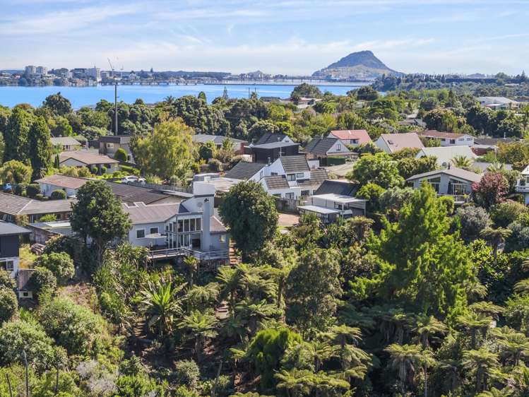 180 Te Hono Street Maungatapu_17