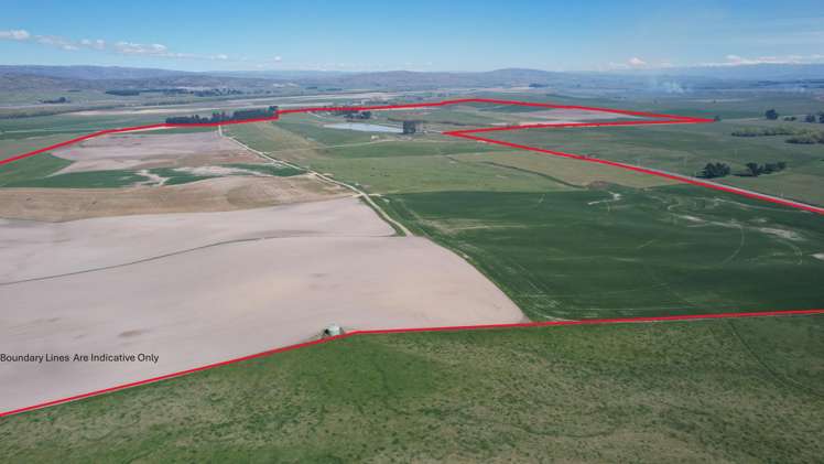 51 Saint Bathans Loop Road Becks_9