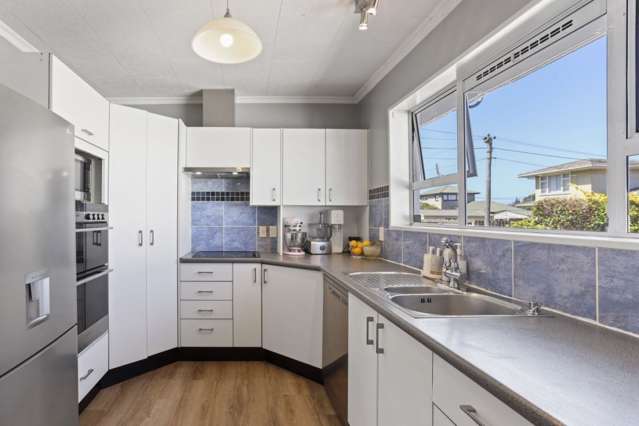 29 Patrick Street Mairehau_1