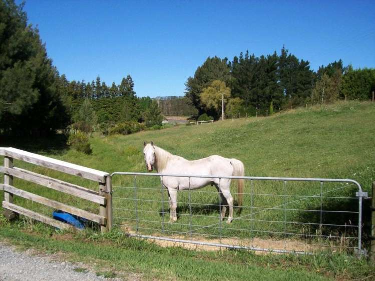52 Wolseley Road Hauraki Surrounds_24