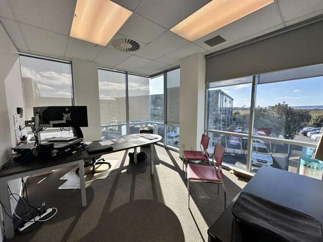 527A Rosebank Road Avondale_3