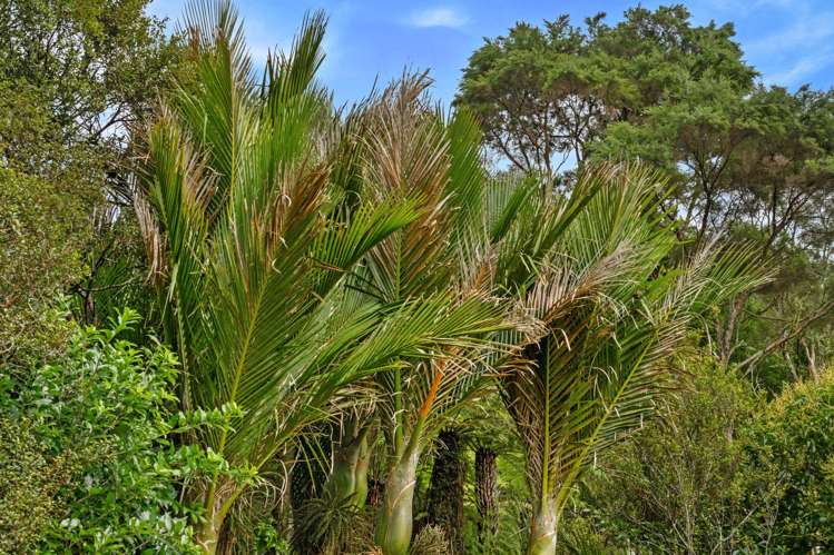 Lot Lot 5/115 Screen Road Coatesville_16