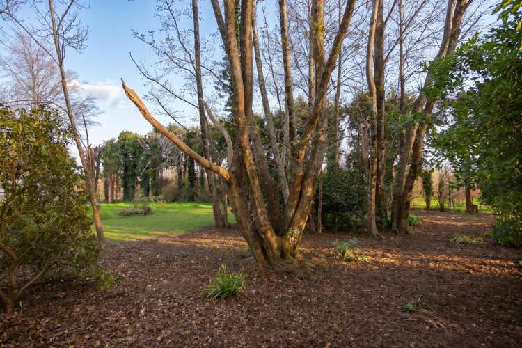 15 Woodlands Way Greytown_10