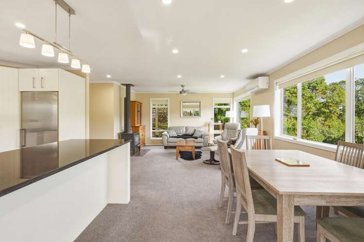 2 Leyden Terrace Andersons Bay_8