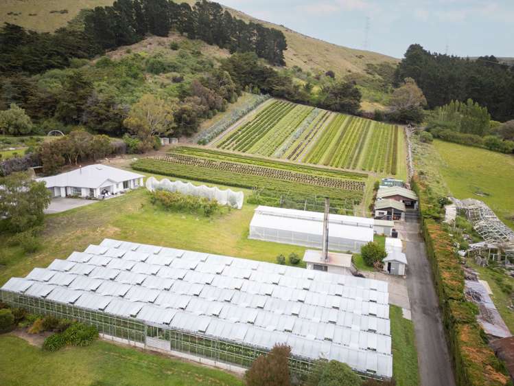 36A Horotane Valley Road Heathcote Valley_7