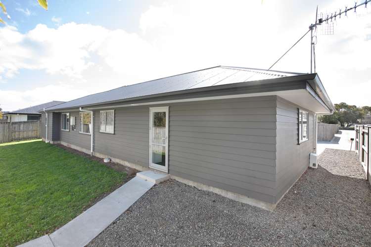 43 Wilson Street Bulls_19