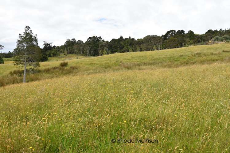 10 Te Pahi River Drive Paparoa_57