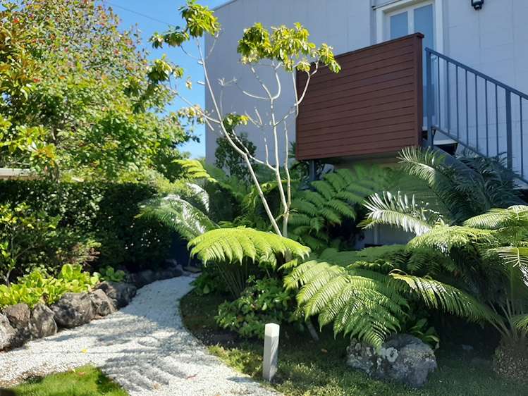 20 Shelly Beach Road Shelly Beach_10