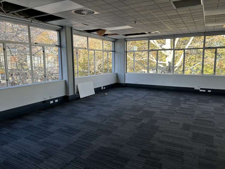 168 Trafalgar Street Nelson_10