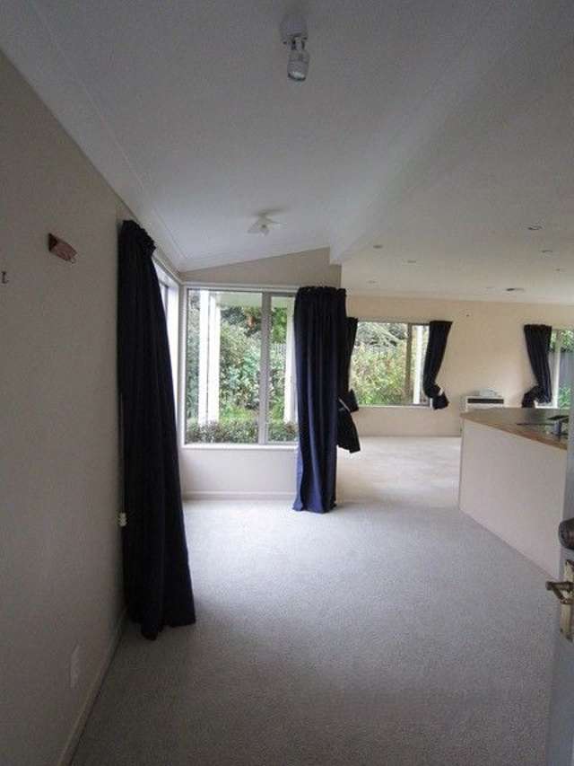 39A St Albans Avenue Hokowhitu_1