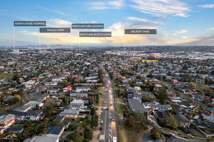 239 Forrest Hill Road Forrest Hill_20