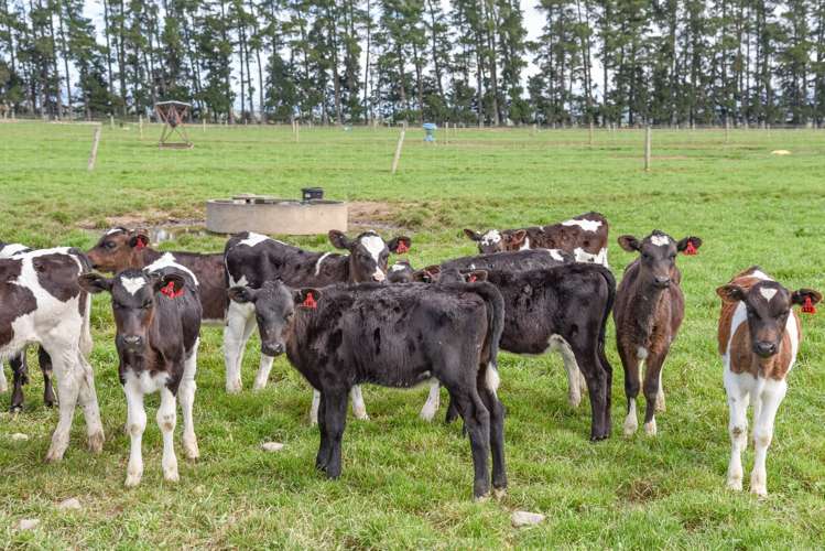 106 Rotherham Road South Culverden_23