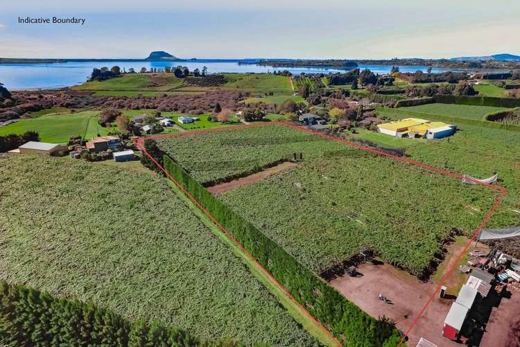 28 Lochhead Road Te Puna_2