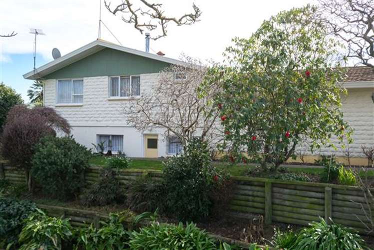 10a Owen Place Springlands_25