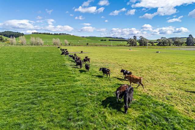 1353 Waimate Highway Otaio_1