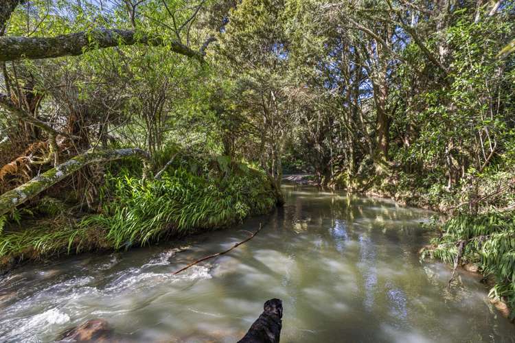 1058 Old Mountain Road Raglan_31