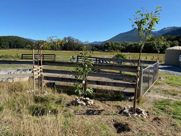 Lot 4 SH 65 Reefton_13