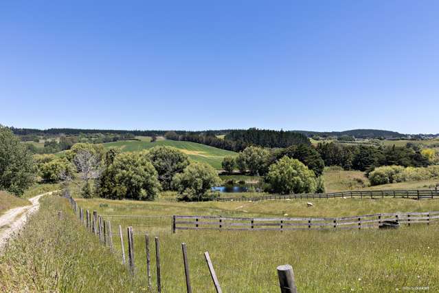 199 Ireland Road Waitoki_4