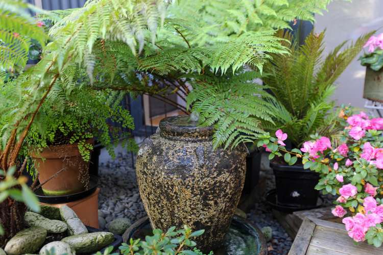 2/15 Boundary Road Waipahihi_3