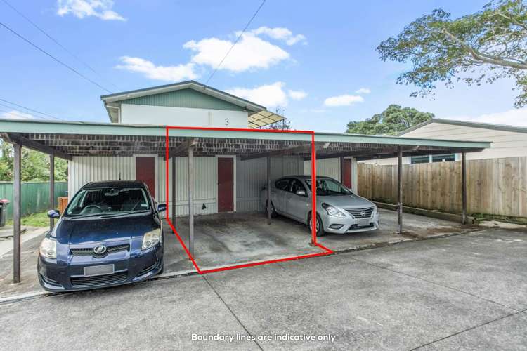 1/2 Seaview Terrace Mount Albert_9