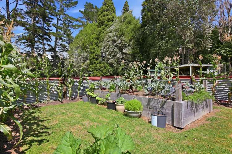 17 Ridgewood Drive Ridgewood_34