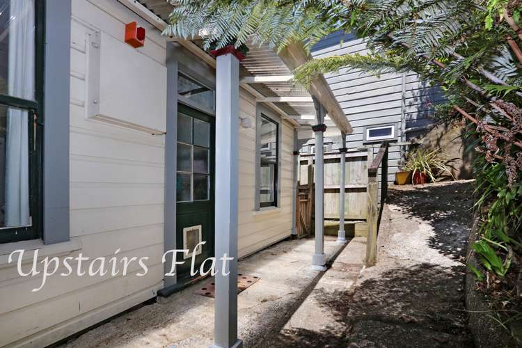 12 Brooklyn Road Aro Valley_8